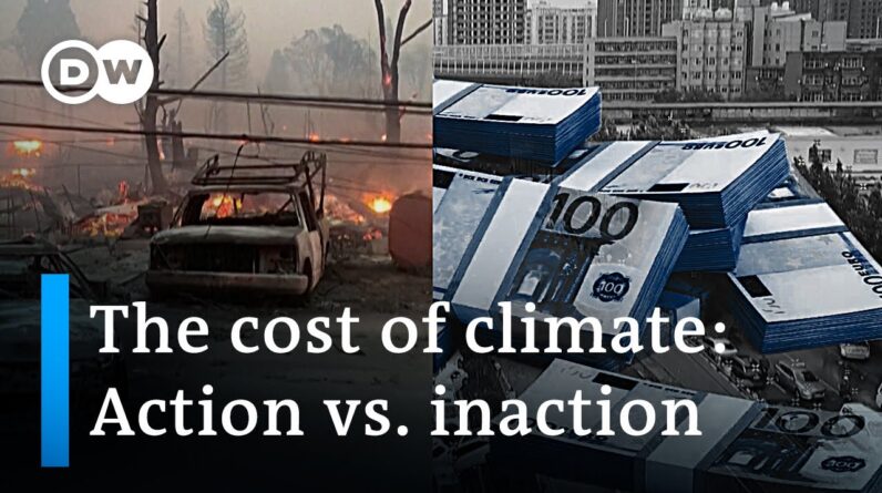 Cutting the catastrophic cost of climate change | DW News