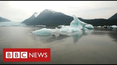 Alaska’s melting glaciers force people from their homes as sea rises - BBC News
